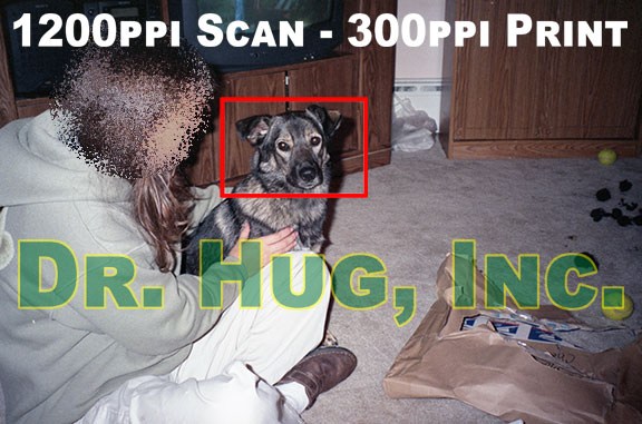 Full Photo - 35mm negative film scanned at 1200ppi.