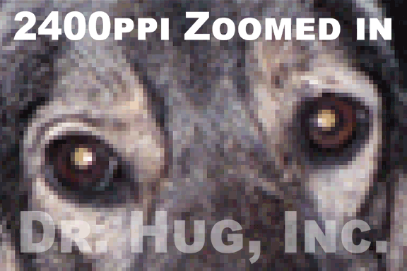 Animated GIF of the same 35mm negative. This time scanned at 2400ppi, 3200ppi and 4800ppi and zoomed in farther show to difference in resolution quality.