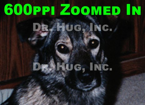 The same printed photo scanned again at 600ppi and zoomed in clearly showing better resolution quality than the 300ppi image.