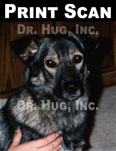 Animated GIF showing the difference in quality between the same image scanned from a printed photo and scanned from a 35mm negative, but this time zoomed in.