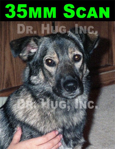 The same photo scanned into a digital image from a 35mm negative and zoomed in the same. This better shows the improved quality over the scanned digital image from the printed photo.