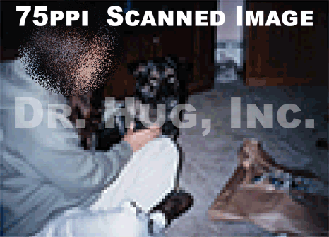 GIF Animation showing the resolution quality difference between the same printed photo scanned at 75ppi, 150ppi and 300ppi.