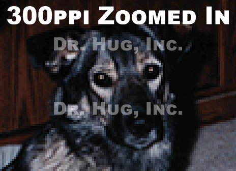 GIF Animation showing the difference between the same printed photo scanned at 300ppi and 600ppi. This time zoomed in to clearly show the difference in resolution quality.